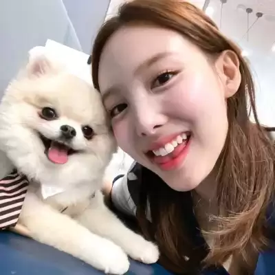 车修洁